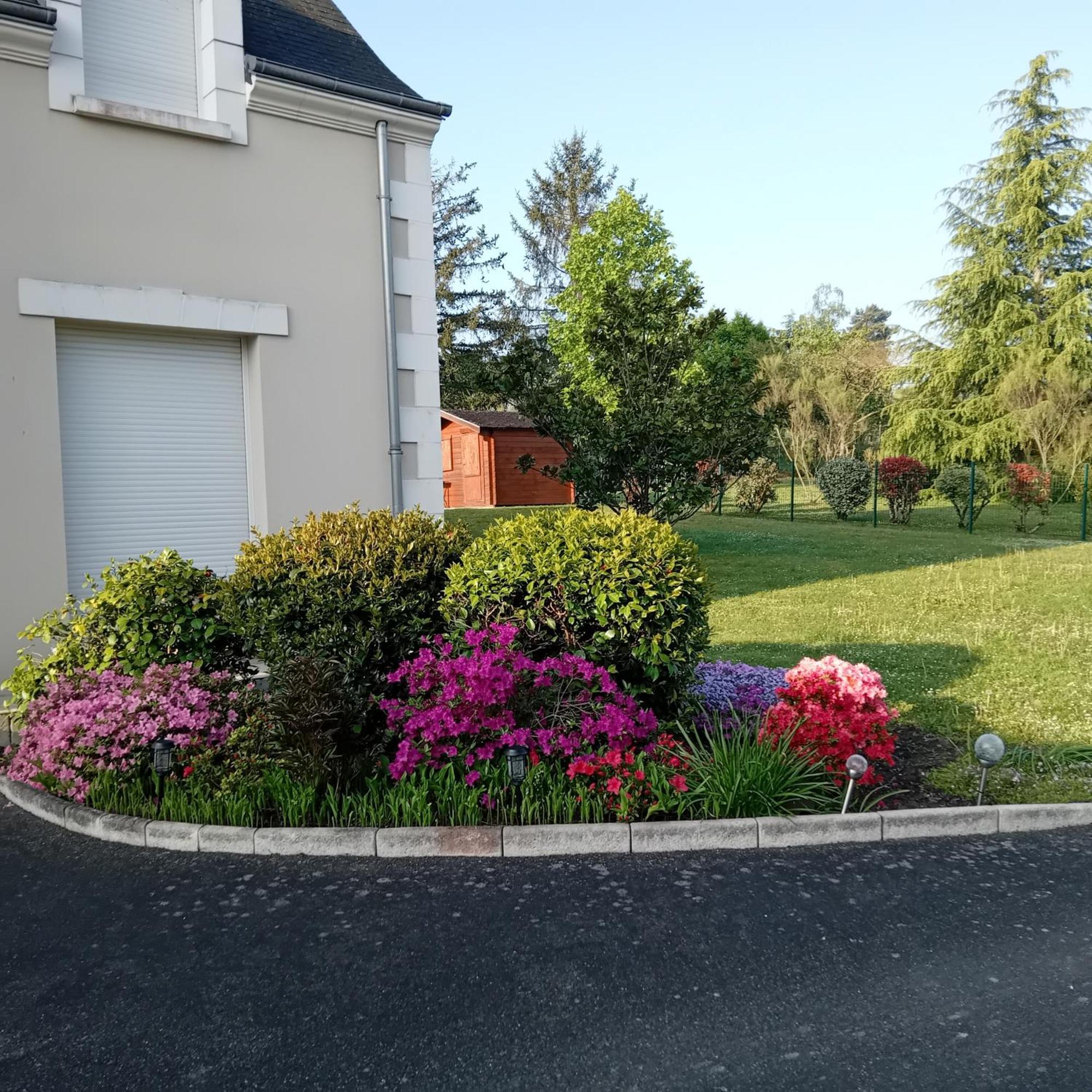 Villa Le Clos De Mosny Amboise Eksteriør bilde